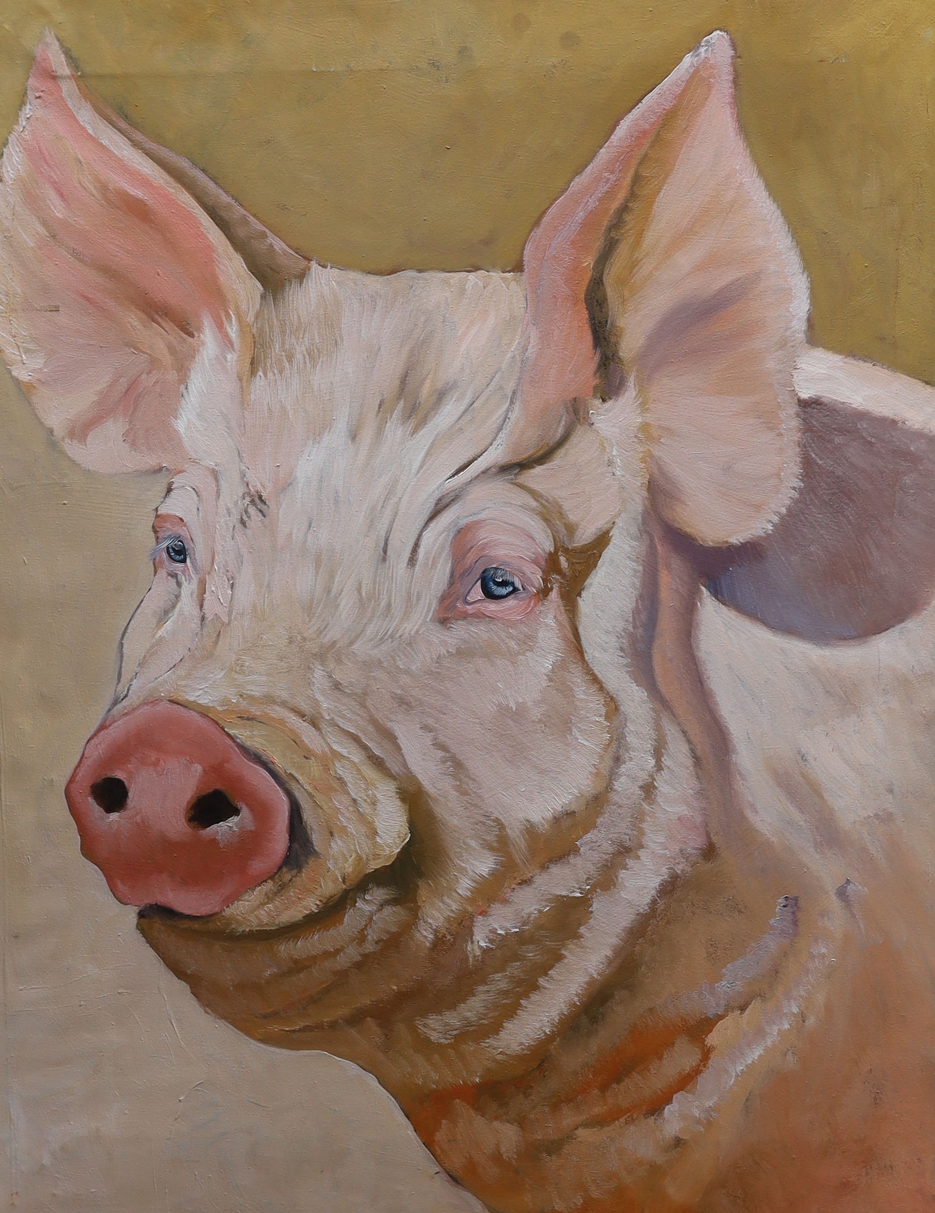 Modern British, oil on canvas, Head study of a pig, 82 x 66cm, unframed